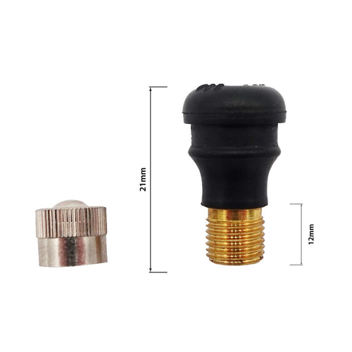 Straight tubeless valve for electric scooter