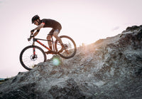 Spider 70 27.5 VTT - Composants