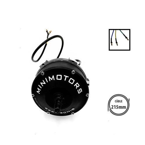 Speedway 5 and Dualtron Dt3 Motor