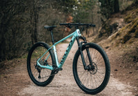 Mystery 70 29 VTT femme - Freins