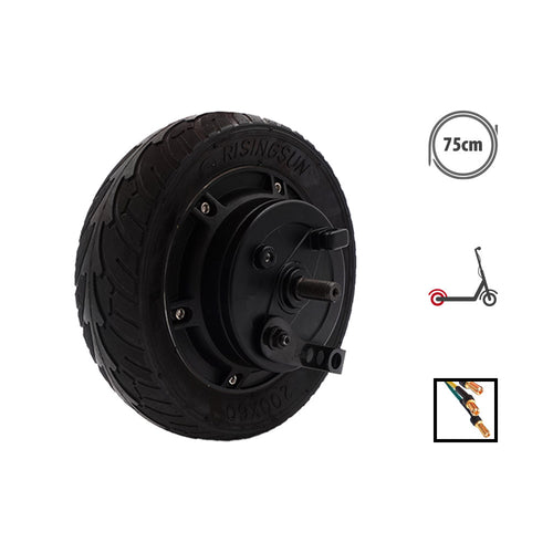Rear motor Dualtron Raptor