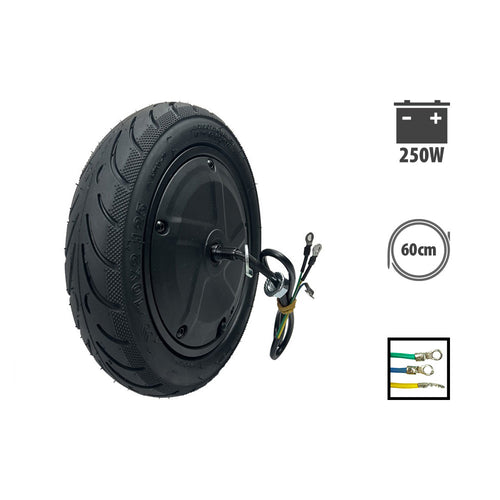 Ninebot F30 250W Motor