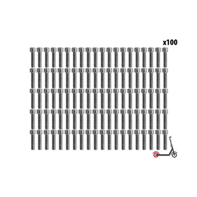 BTR Rear Wheel Screw Dualtron Mini (x100 pcs)