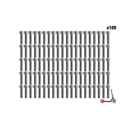 BTR Rear Wheel Screw Dualtron Mini (x100 pcs)