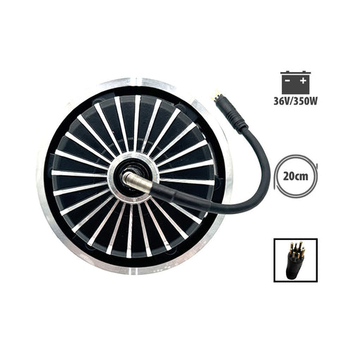 Z9 36V 350W Motor