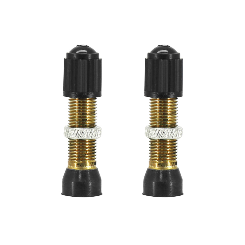Valve De Pneu Tubeless Schrader Argent 44 mm Obus Demontable (Vendu A La Paire Sur Carte)