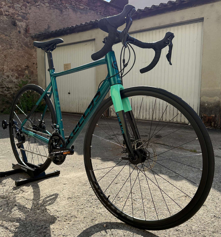 Kellys Arc 50