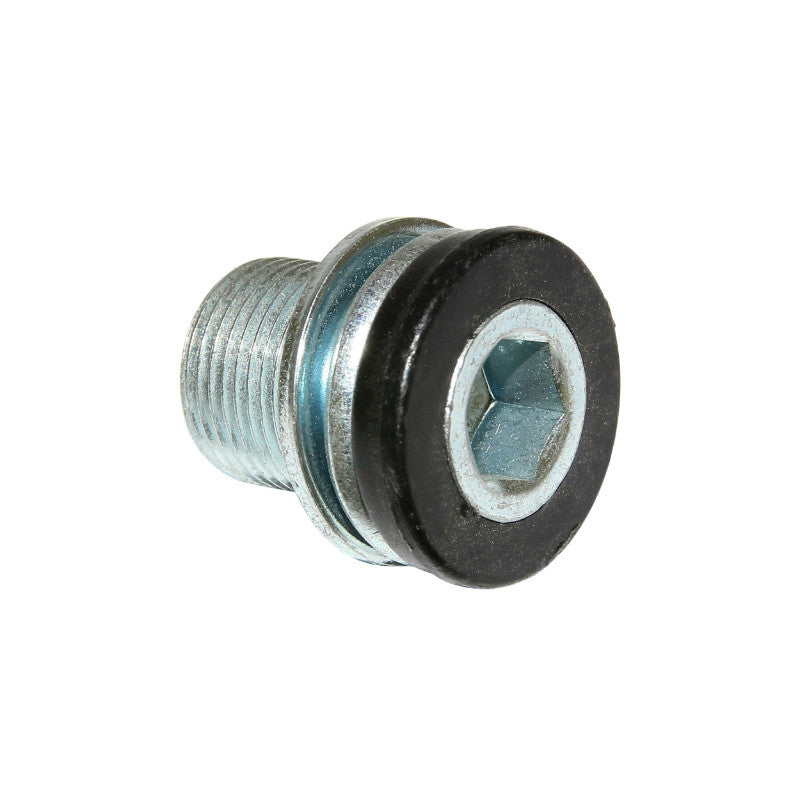 Vis De Boîtier De Pédalier Algi 14X100 (00344000) (Vendu A L'Unite)