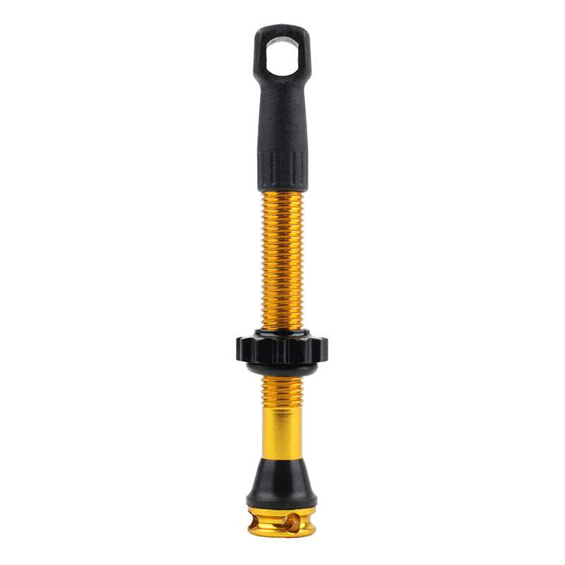 Valve De Pneu Tubeless Presta Newton Colori Or 47 mm 4 Trous Pour Diffusion Preventif (Vendu A L'Unite) - Livre Avec Dém