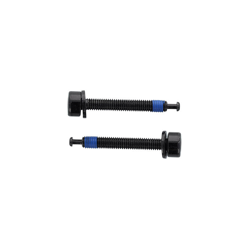 Vis Pour Frein Disque Route Elvedes Flatmount M5 X 38 mm Avec Pointeau Type Shimano (Vendu A La Paire)