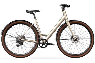Vélo électrique Desiknio Oxytocin 11-Speed