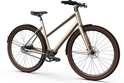 Vélo électrique Desiknio Serotonin Pinion 1.9