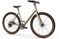 Vélo électrique Desiknio Oxytocin 11-Speed