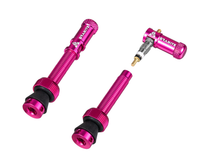 Paire de valves (44mm) + bouchons valve Granite CNC/démonte obus Juicy Nipples