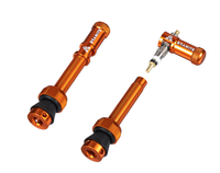 Paire de valves (44mm) + bouchons valve Granite pour CNC démonte obus Juicy Nipples