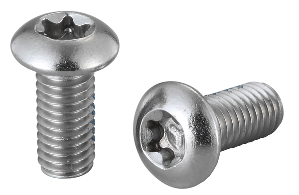 Vis de disque inox x100 Elvedes