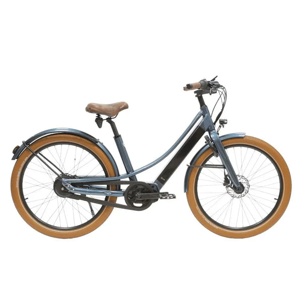 Reine Bike - location Vélo Shop Obernai