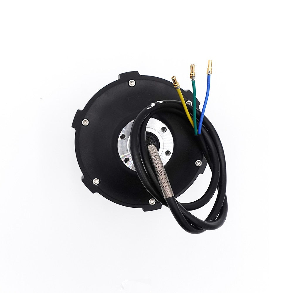 Motor (Front/Rear) Dualtron Victor en situation