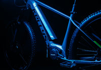 Kellys Tayen R50 725Wh - vue 3