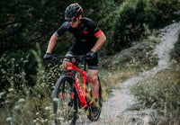 Spider 50 29 VTT - Freins