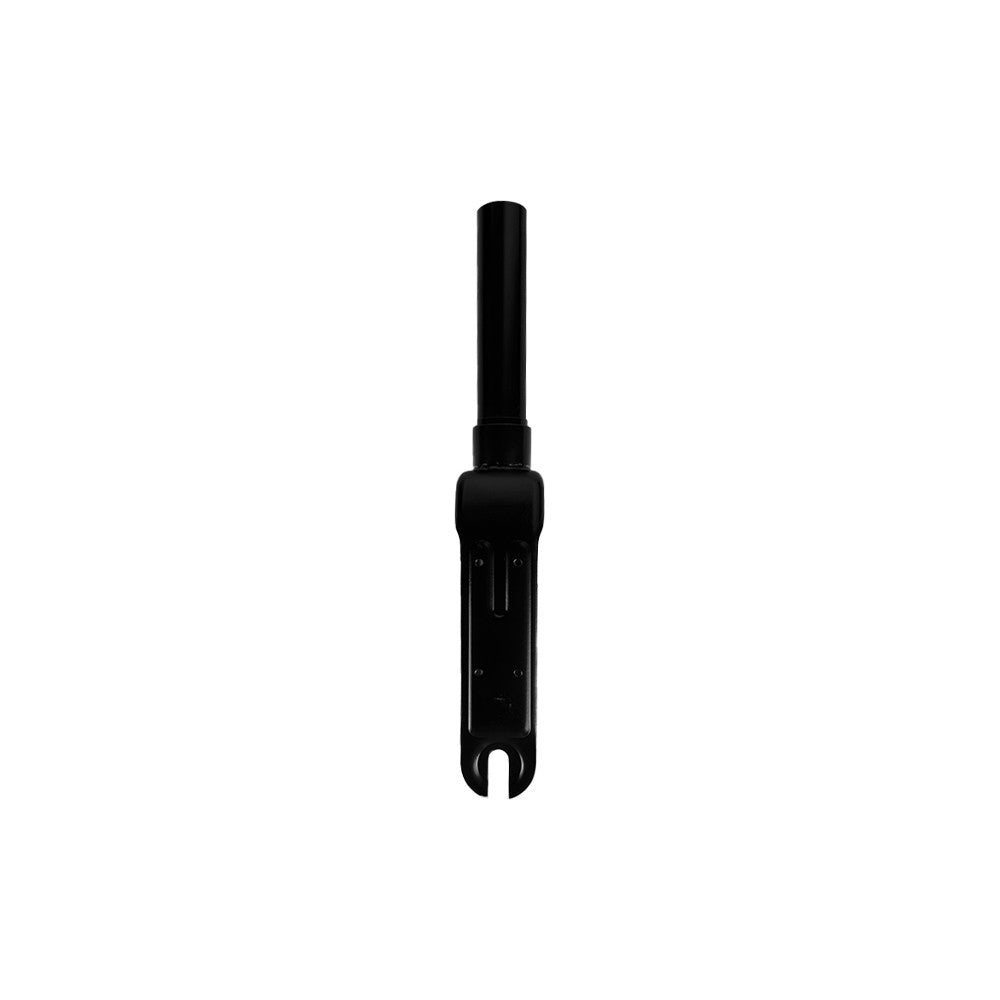 Ninebot F25 F30 F40 Fork en situation