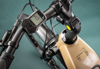 Estima 60 SH 725Wh Vélo de ville électrique - Composants