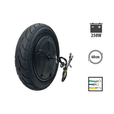 Ninebot F30 250W Motor