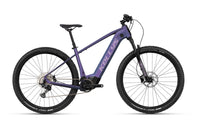 Kellys Tayen R90 820Wh - vue 1