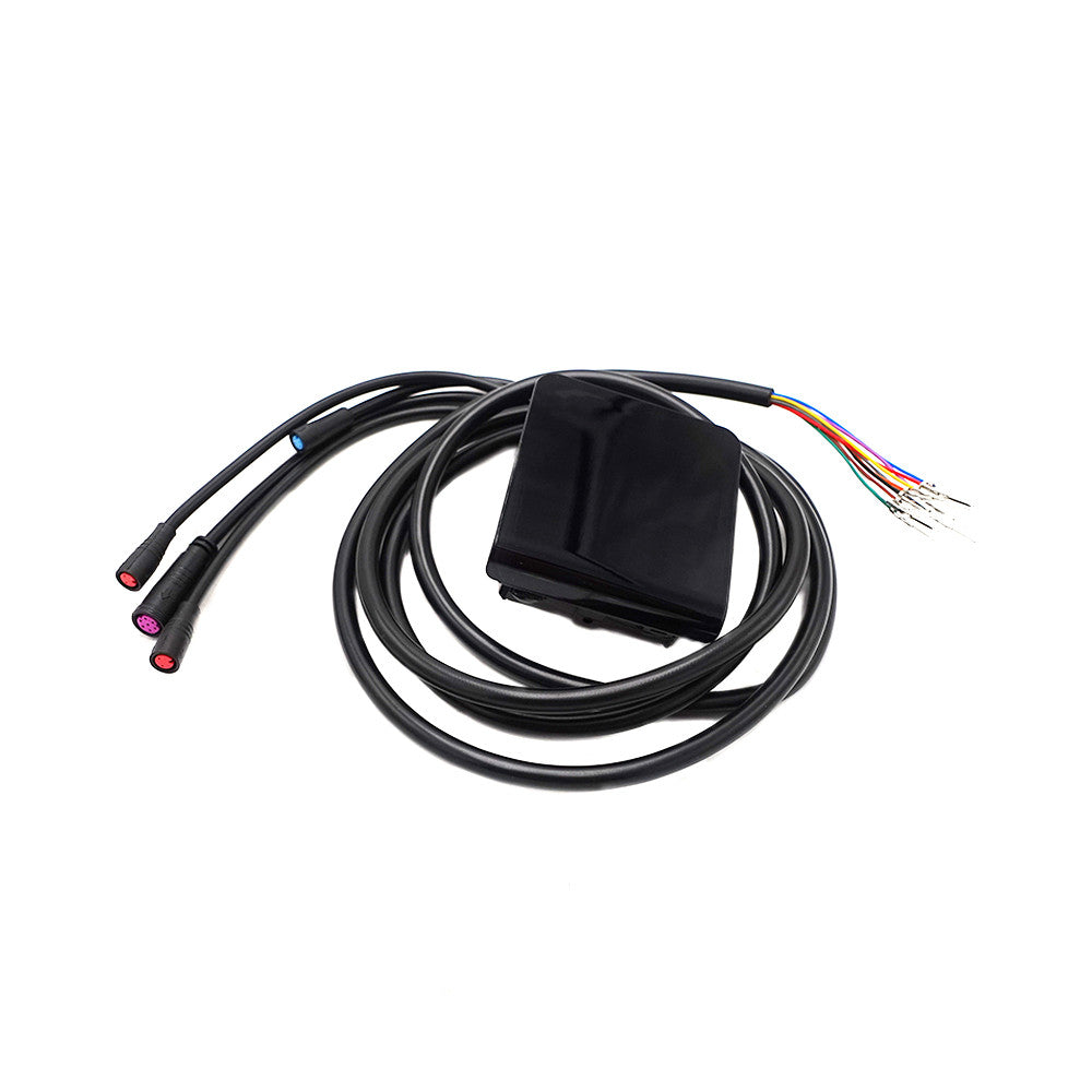 Display Dualtron Togo 36V 48V - vue 2
