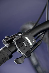 Kellys Theos RS90 900Wh - vue 5