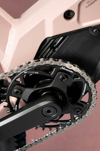 Kellys Tayen RS50 820Wh 29 - vue 12
