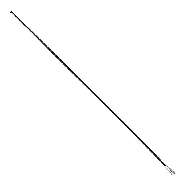 Rayon INOX Noir Plat (2,2 X 0,09 mm) Tête Droite 2 mm L 252 mm Sapim Cx-Ray Avec Écrou (Vendu A L'Unite)