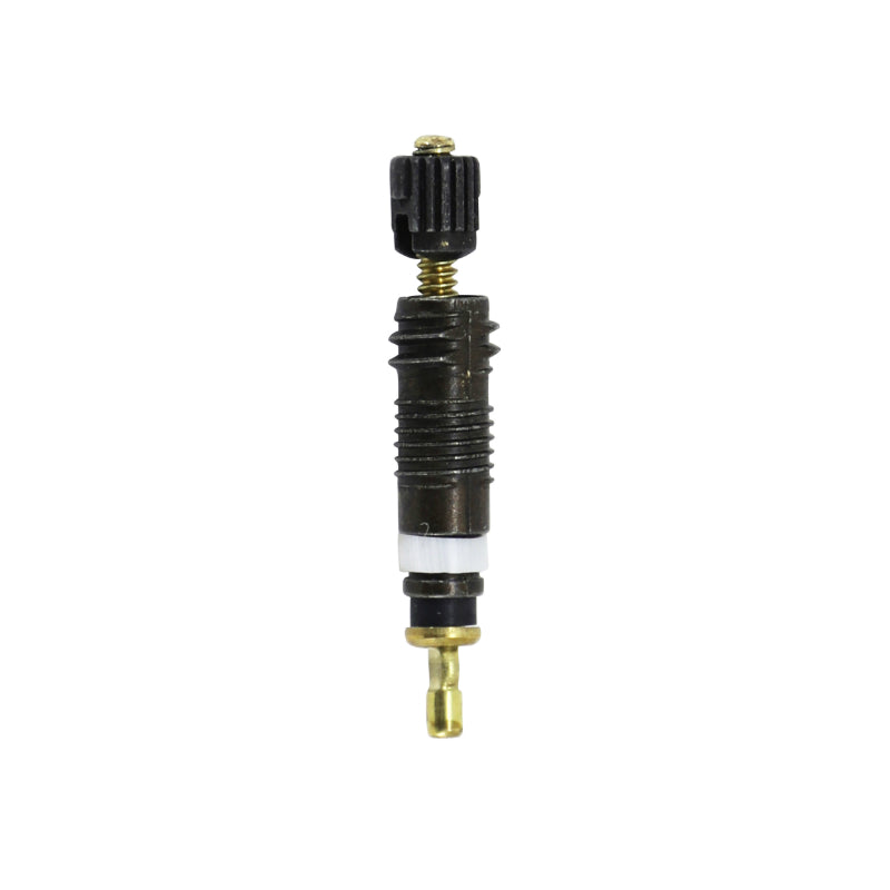 Corps De Valve Chambre A Air Schwalbe Noir Presta - Obus De Valve