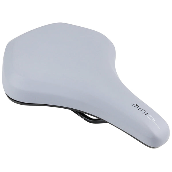 Selle Newton City Roy Minima Gris 262X190 mm Rail Acier