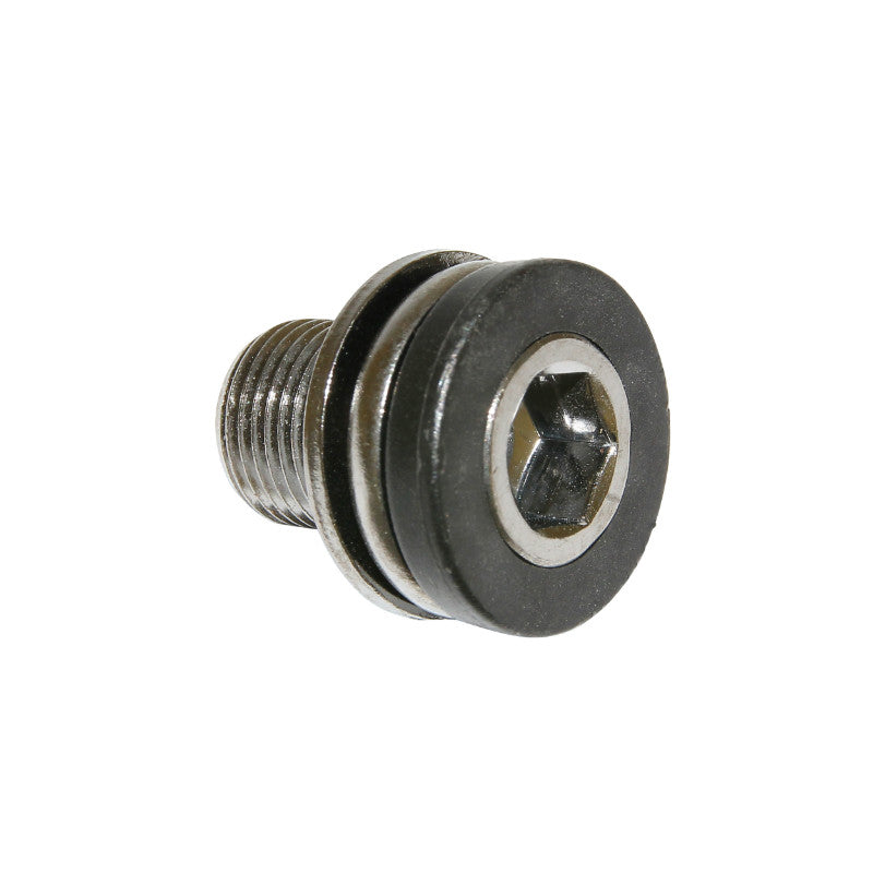 Vis De Boîtier De Pédalier Algi 12X100 (00343000) (Vendu A L'Unite)