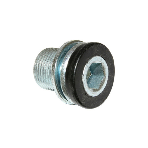 Vis De Boîtier De Pédalier Algi 14X100 (00344000) (Vendu A L'Unite)