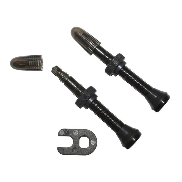 Valve De Pneu Tubeless Presta Schwalbe 40 mm Obus Demontable (Vendu A La Paire Sur Carte)