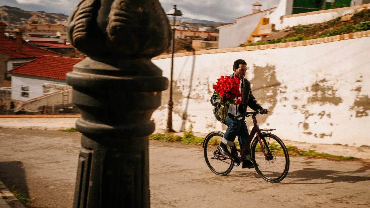 Transmission — Oxytocin Pinion 1.9 Electric Bicycle
