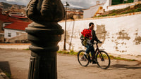 Vélo électrique Desiknio Oxytocin Pinion 1.9