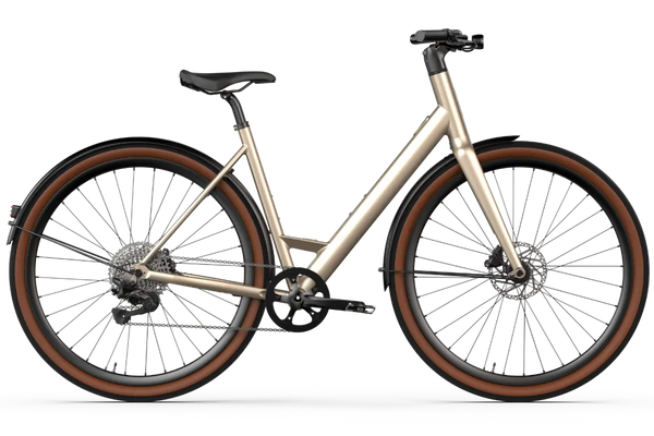Vélo électrique Desiknio Oxytocin 11-Speed