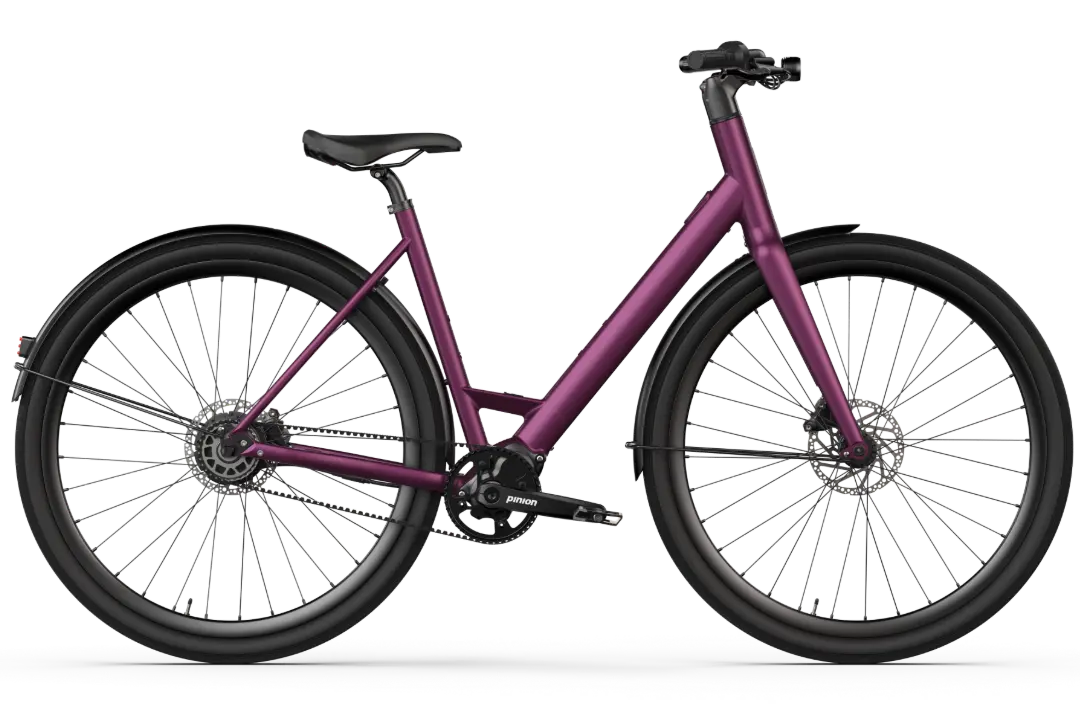 Vélo électrique Desiknio Oxytocin Pinion 1.9