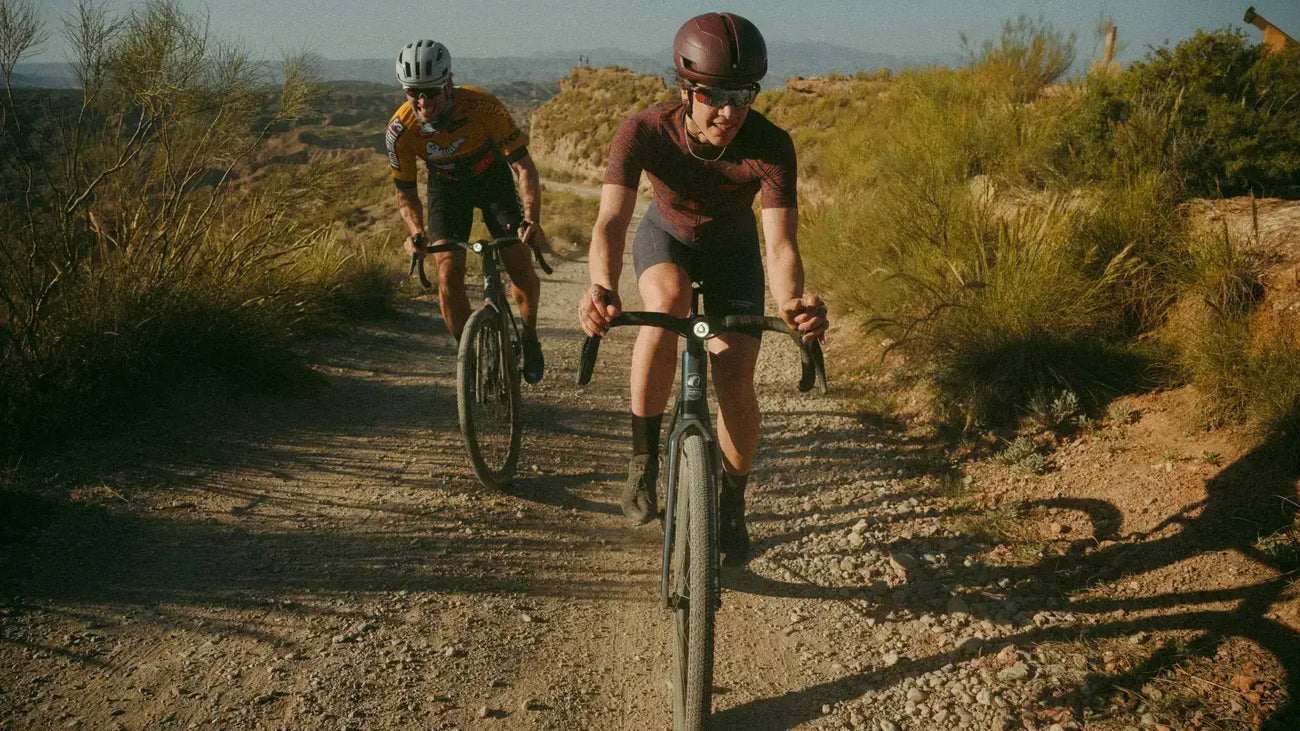 Transmission — Dopamine Peak Smart.Shift
