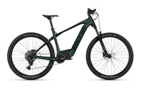 Kellys Tygon RS10 725Wh - vue 3