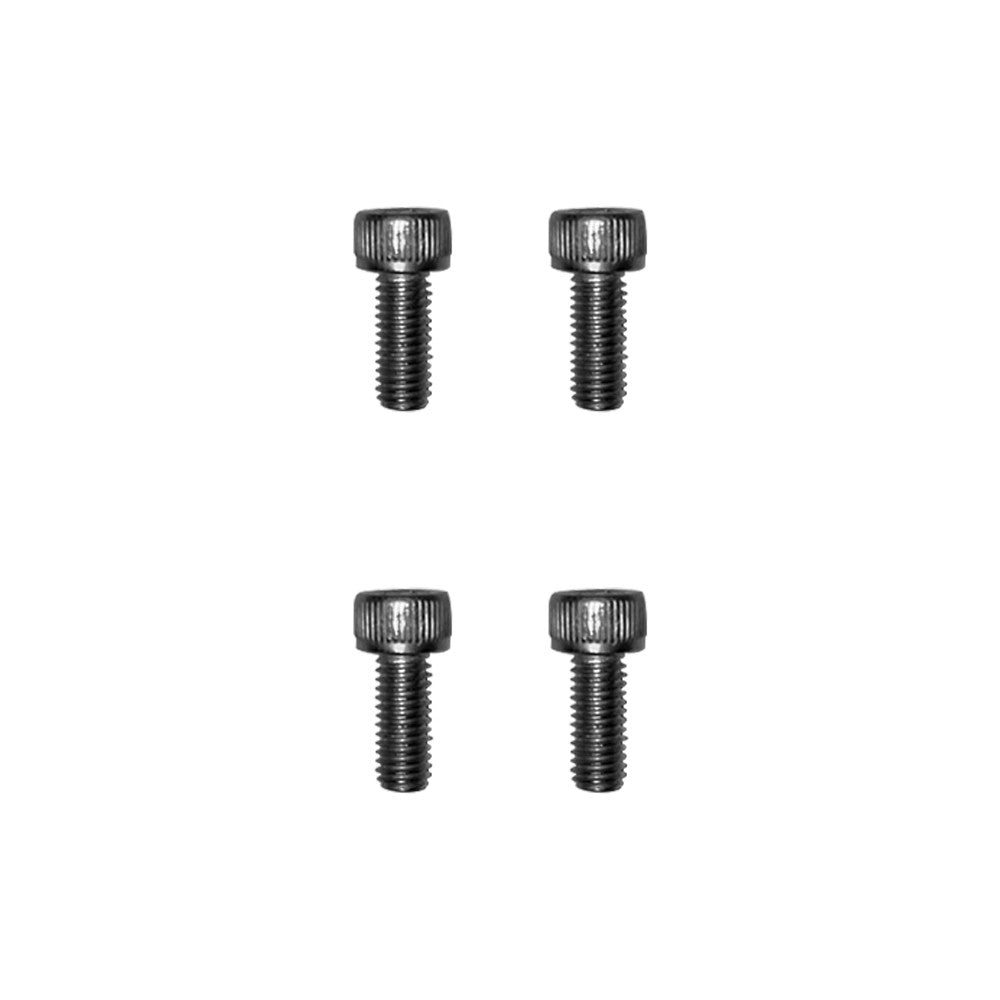 Dualtron X mudguard screws 4pcs