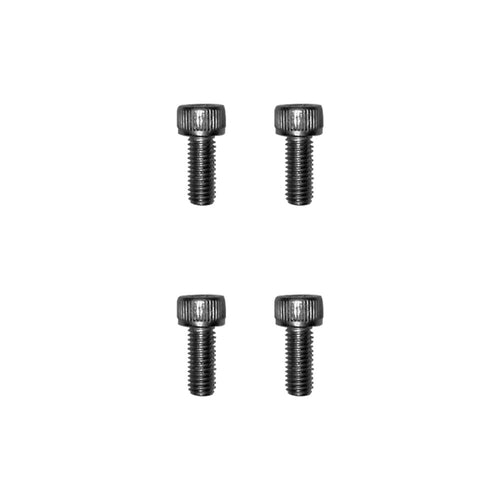 Dualtron X mudguard screws 4pcs