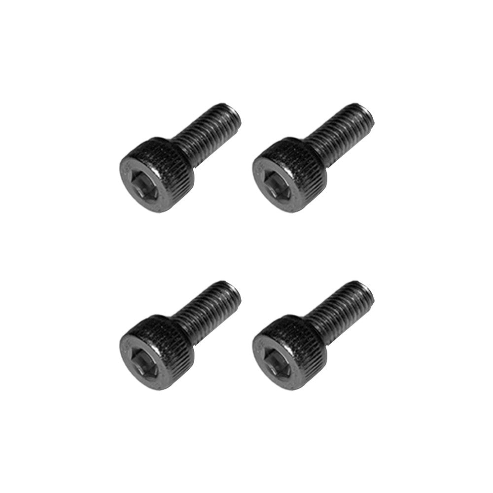 Dualtron X mudguard screws 4pcs en situation