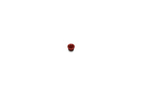 Hope RX4 SR[old] DOT Small Bore Cap - vue 5