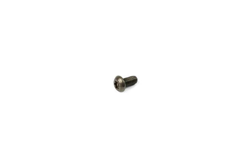Hope M3 X 6 Torx Dome Head Stainless Steel Tamper Proof en situation