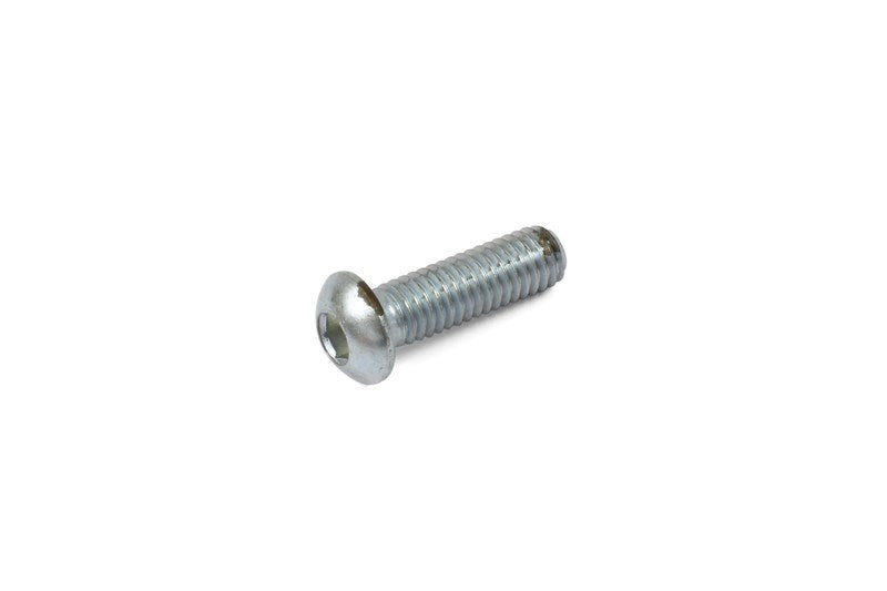 Hope M6 X 20 Dome Head Screw Stainless Steel en situation