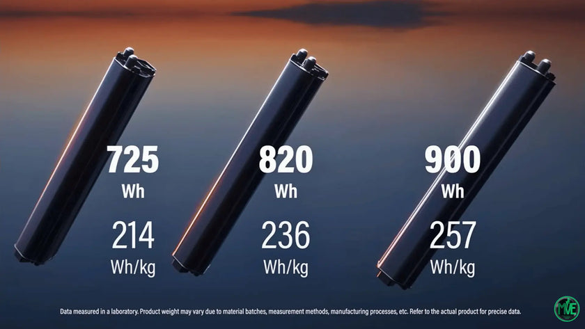 Batteries BMZ MaxxPro, 3 modèles